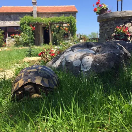 Kuca Za Odmor Joko I Jeka