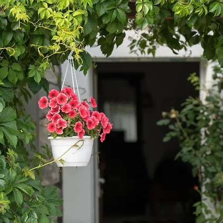 Kuca Za Odmor Joko I Jeka Feriehus *