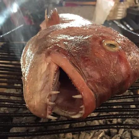 Kuca Za Odmor Joko I Jeka *