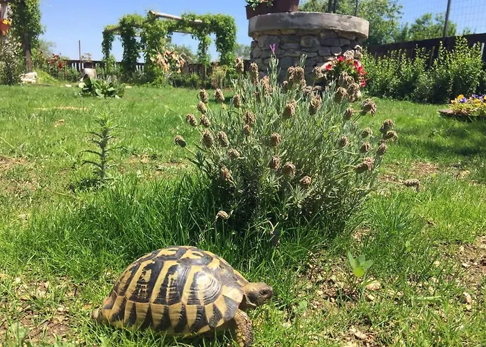 Kuca Za Odmor Joko I Jeka
