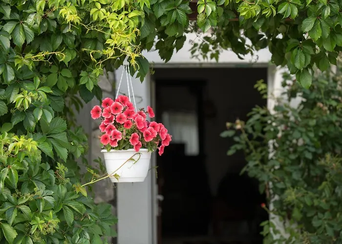 Kuca Za Odmor Joko I Jeka Ferienhaus *